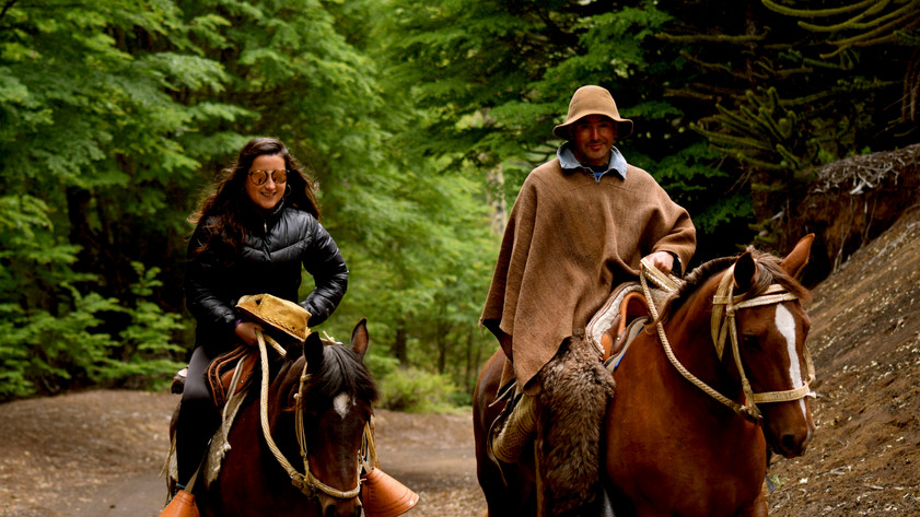 Paseo a Caballo